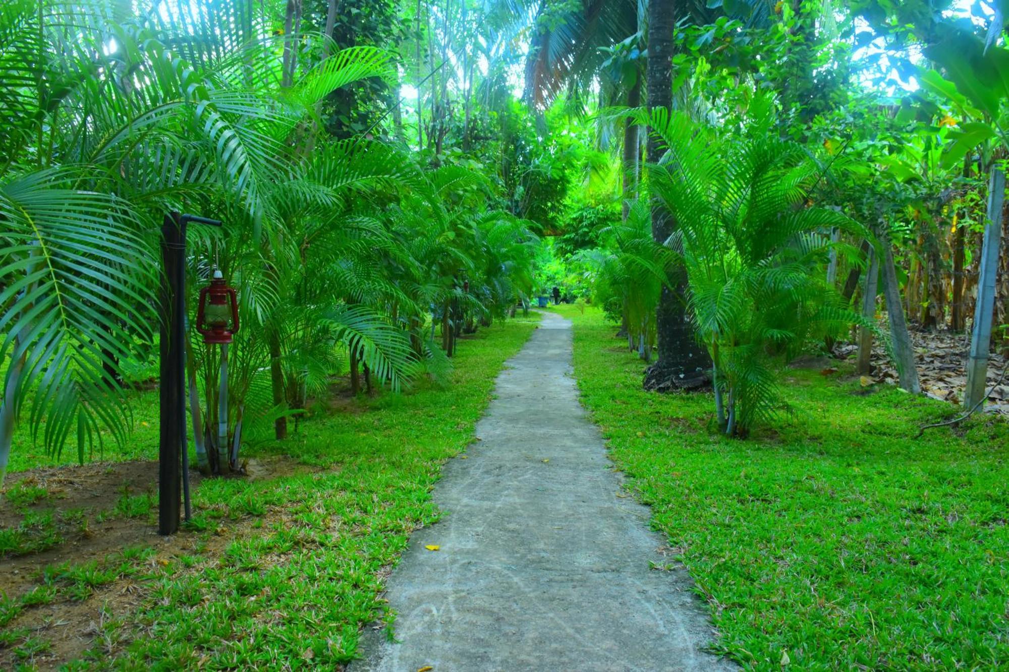 Wild Lake Side Udawalawe Exterior foto